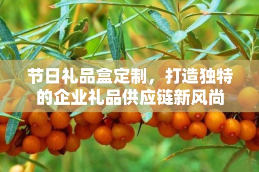 节日礼品盒定制，打造独特的企业礼品供应链新风尚