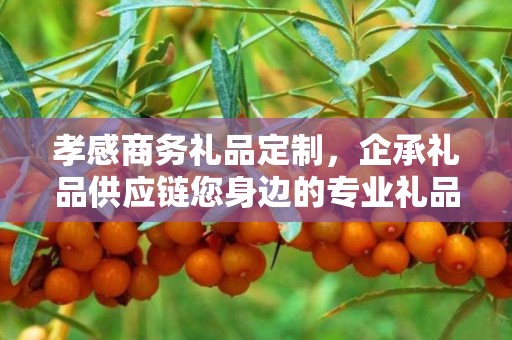 孝感商务礼品定制，企承礼品供应链您身边的专业礼品定制公司